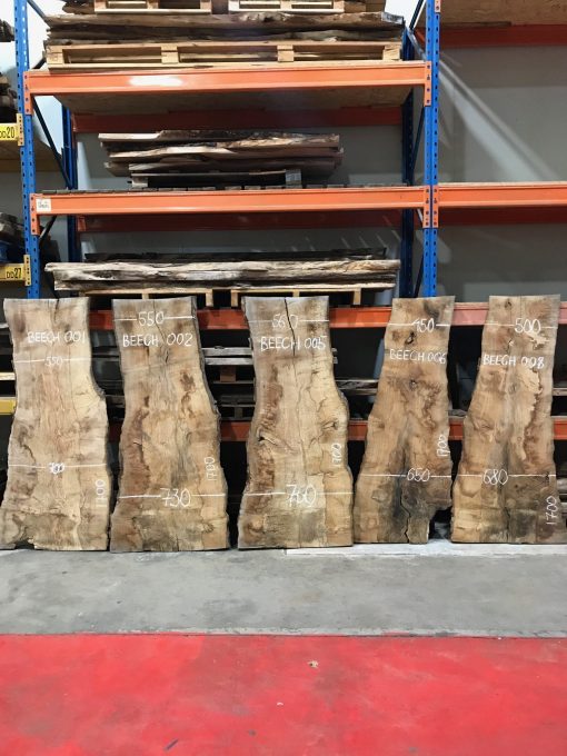 Beech 5 planks