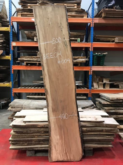 Beech 004 buy directly from Elephant Timber Supplies