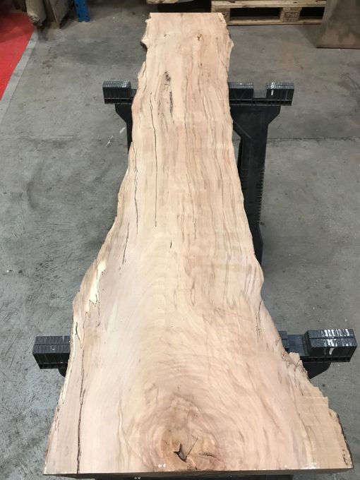 Spalted beech small piece of timber #008