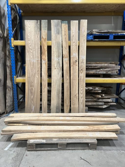 Straight edged Elm