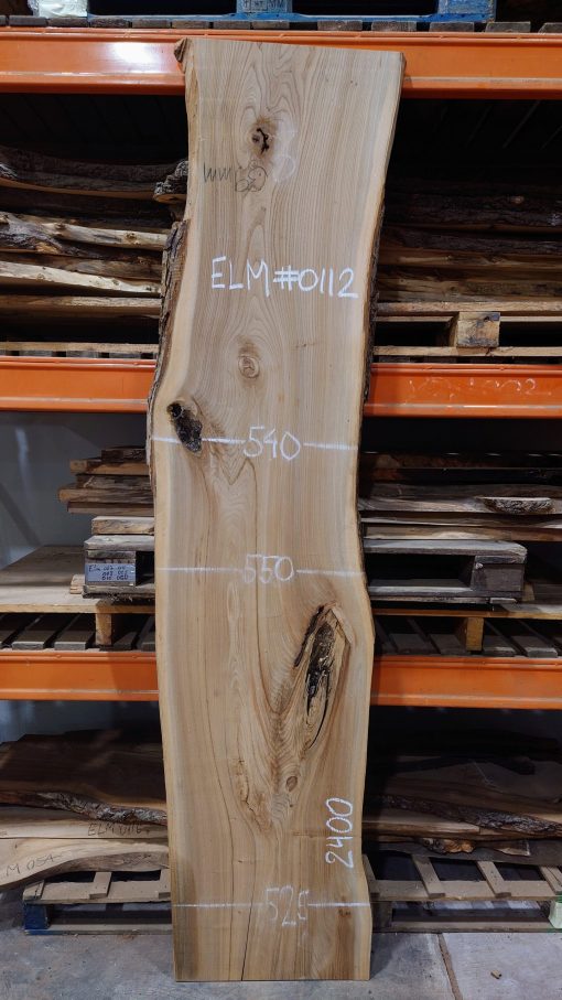 Elm plank #0112