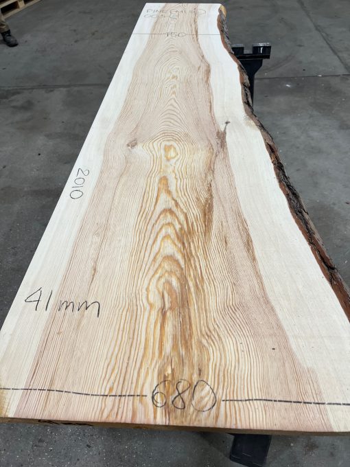Pine #003-2