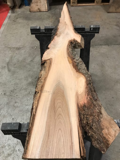 Elm small piece of timber #0119