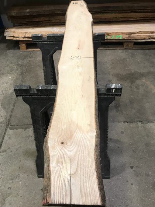 Ash plank 10