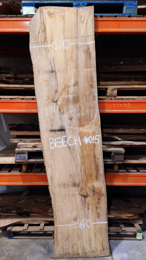 Beech timber 015