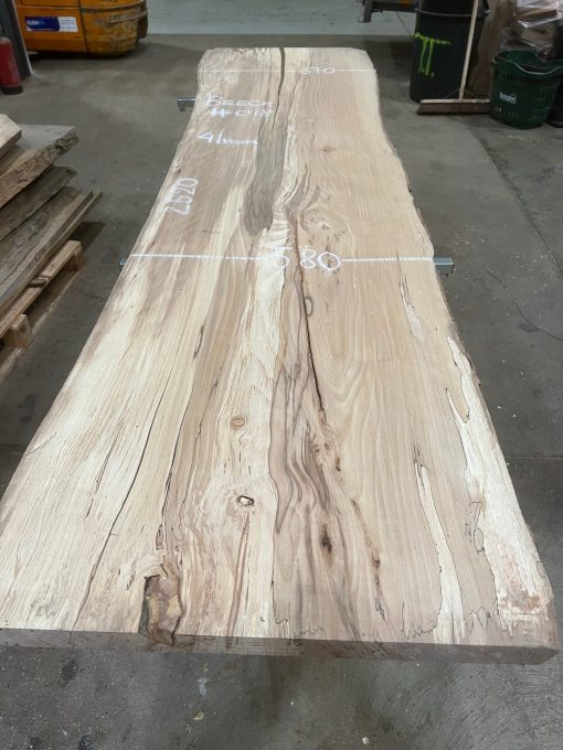Beech plank #018