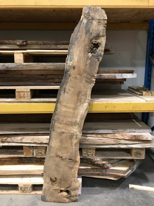 Vintage Oak #5