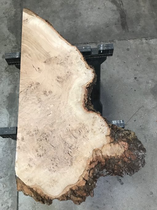 Oak Small Piece #S3