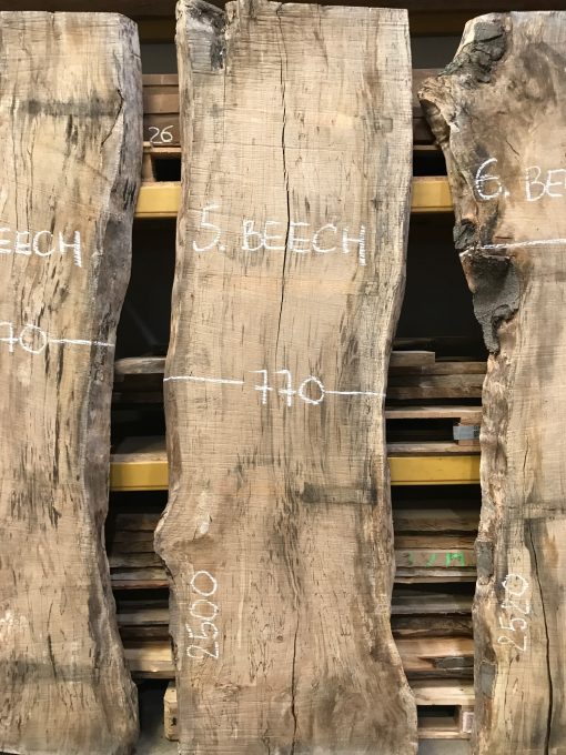 Beech slab #05