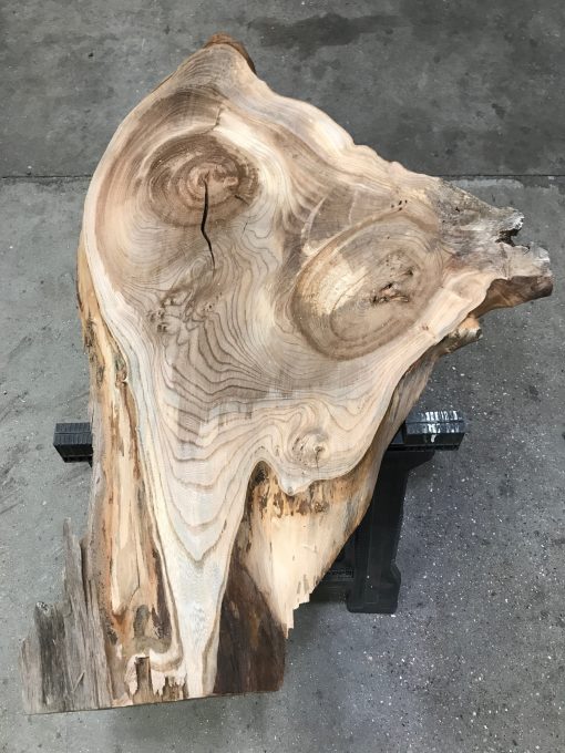 Elm small plank #0125