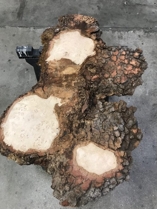 Oak small piece #S1