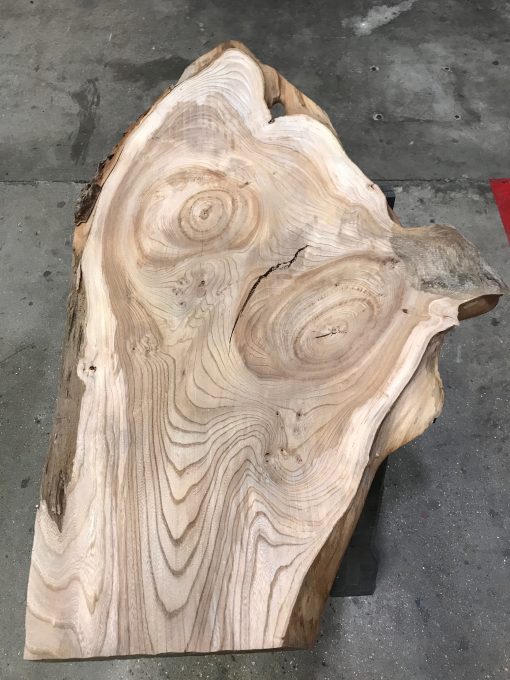 Elm plank #0127