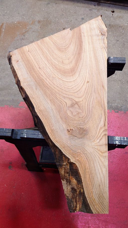 Elm plank #0134