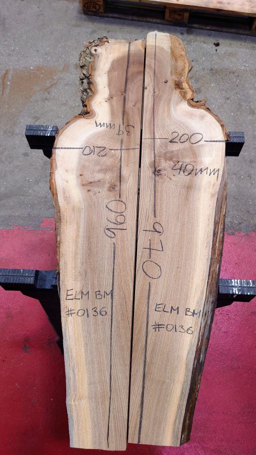 Elm planks book matched #0136