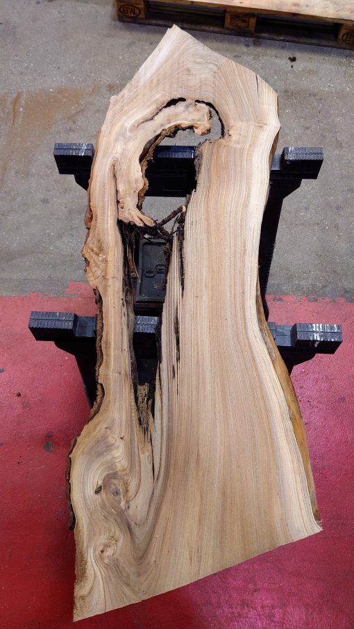 Elm plank #0137