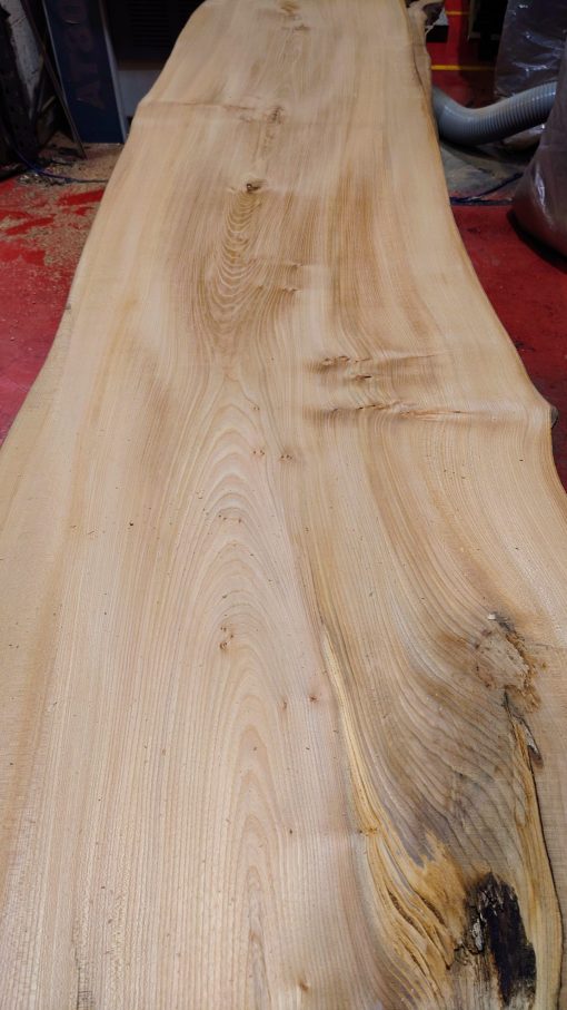 Piece of Elm