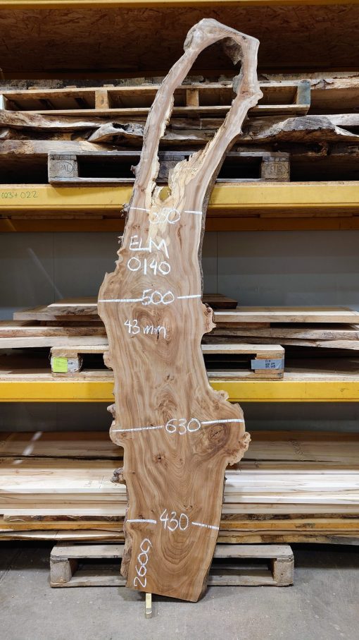 Elm timber #0140
