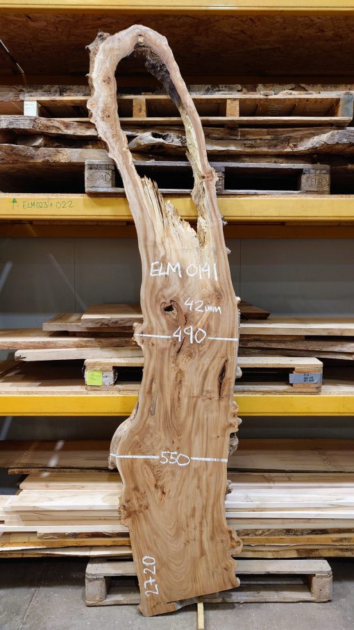 Elm timber #0141