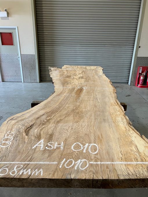 Ash #010