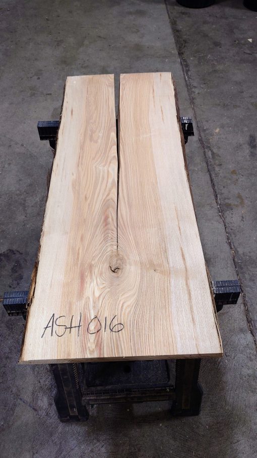 Ash #016
