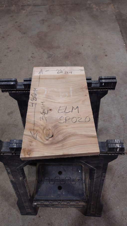 Elm SP020