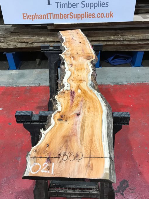 Yew kiln dried timber plank #021