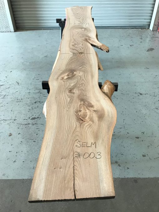 Sappy Elm #003 kiln dried timber