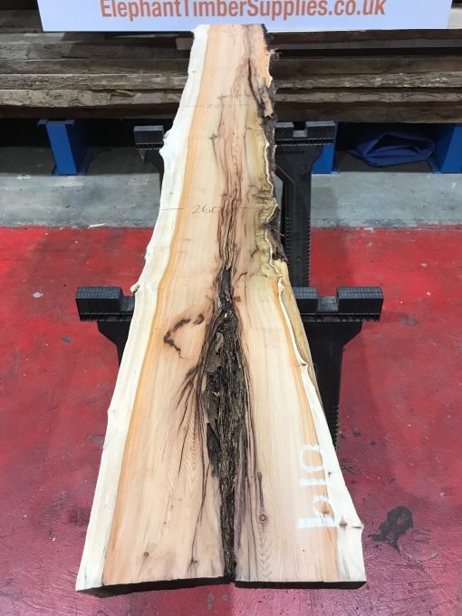 Yew kiln dried timber plank #019