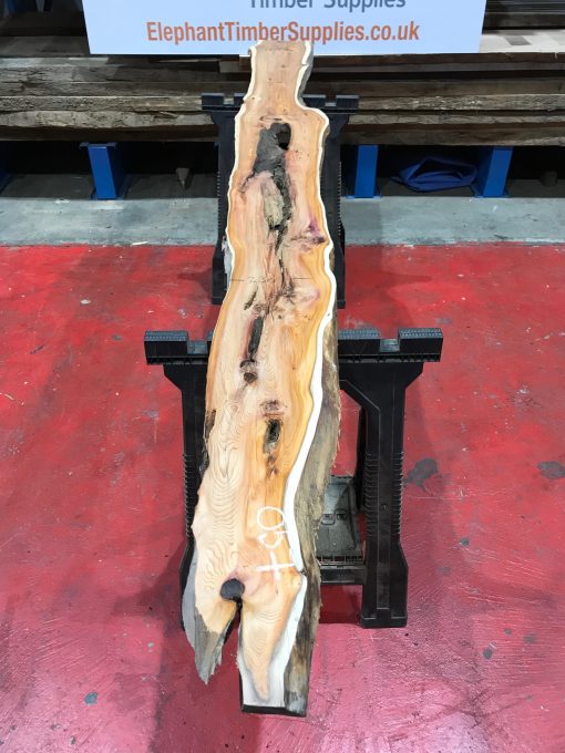 Kiln dried Yew #057