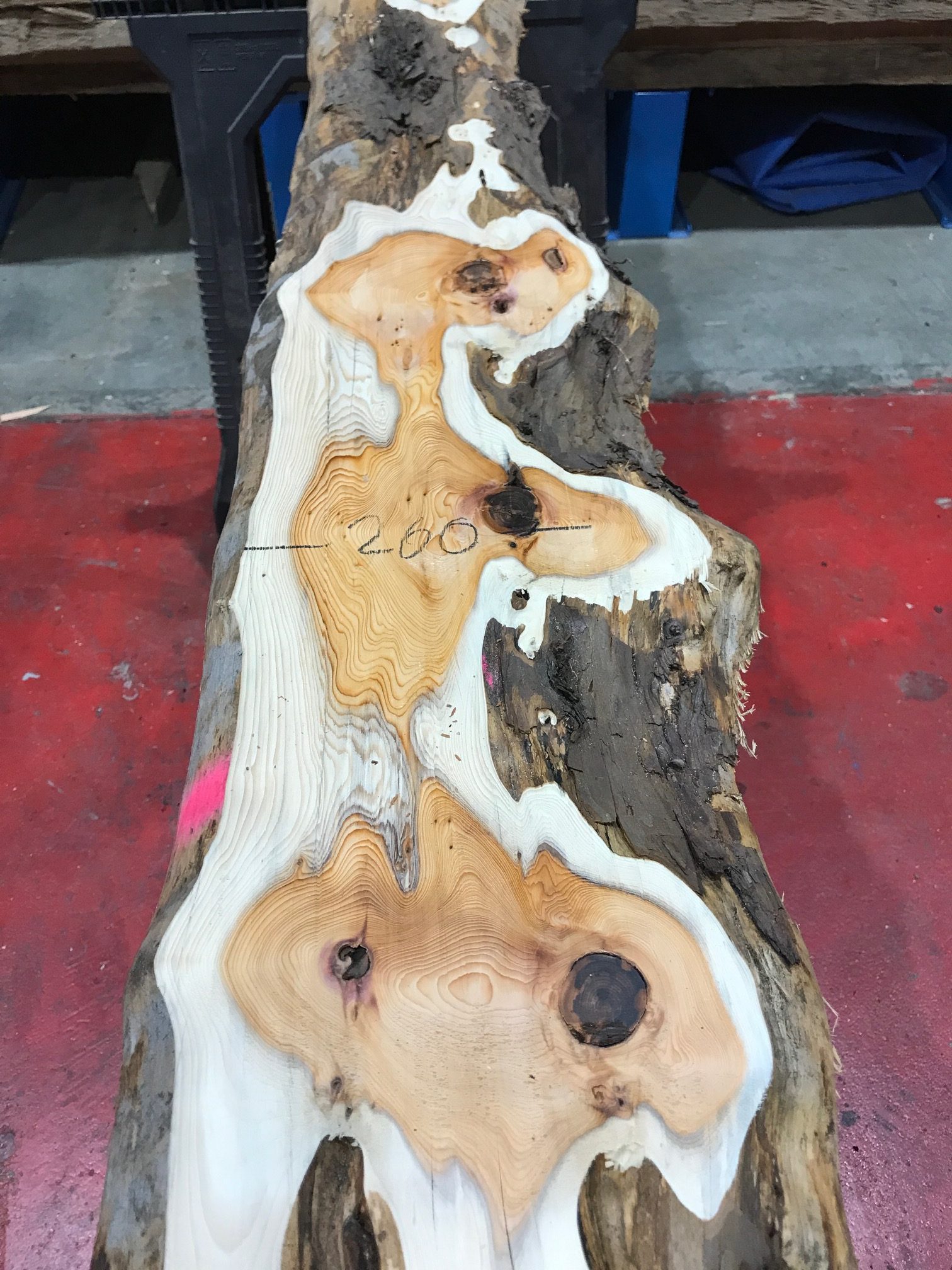 Kiln dried Yew #061